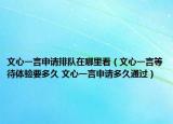 文心一言申請排隊在哪里看（文心一言等待體驗要多久 文心一言申請多久通過）