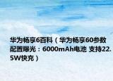 華為暢享6百科（華為暢享60參數(shù)配置曝光：6000mAh電池 支持22.5W快充）