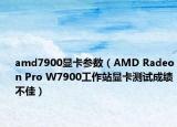 amd7900顯卡參數（AMD Radeon Pro W7900工作站顯卡測試成績不佳）
