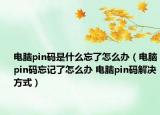 電腦pin碼是什么忘了怎么辦（電腦pin碼忘記了怎么辦 電腦pin碼解決方式）