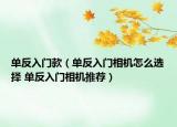 單反入門款（單反入門相機怎么選擇 單反入門相機推薦）