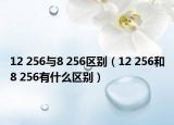 12 256與8 256區(qū)別（12 256和8 256有什么區(qū)別）