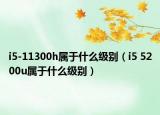 i5-11300h屬于什么級別（i5 5200u屬于什么級別）