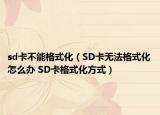 sd卡不能格式化（SD卡無法格式化怎么辦 SD卡格式化方式）