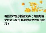 電腦怎樣顯示隱藏文件（電腦隱藏文件怎么顯示 電腦隱藏文件顯示技巧）
