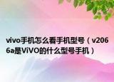 vivo手機(jī)怎么看手機(jī)型號(hào)（v2066a是ViVO的什么型號(hào)手機(jī)）