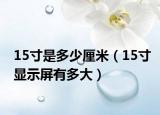 15寸是多少厘米（15寸顯示屏有多大）