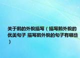 關(guān)于鵝的外貌描寫（描寫鵝外貌的優(yōu)美句子 描寫鵝外貌的句子有哪些）