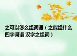 之可以怎么組詞語（之能組什么四字詞語 漢字之組詞）
