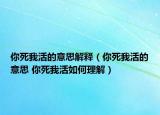 你死我活的意思解釋（你死我活的意思 你死我活如何理解）