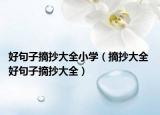 好句子摘抄大全小學(xué)（摘抄大全 好句子摘抄大全）