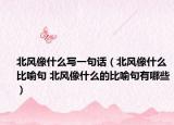 北風(fēng)像什么寫一句話（北風(fēng)像什么比喻句 北風(fēng)像什么的比喻句有哪些）