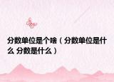 分?jǐn)?shù)單位是個(gè)啥（分?jǐn)?shù)單位是什么 分?jǐn)?shù)是什么）