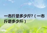 一市斤是多少斤?（一市斤是多少斤）