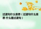 過渡句什么意思（過渡句什么意思 什么是過渡句）
