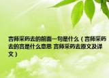 言師采藥去的前面一句是什么（言師采藥去的言是什么意思 言師采藥去原文及譯文）