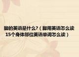腳的英語是什么?（腳用英語怎么讀 15個(gè)身體部位英語單詞怎么讀）