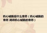機(jī)心械腸是什么意思（機(jī)心械腸的意思 詞語機(jī)心械腸的意思）