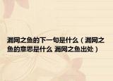 漏網(wǎng)之魚的下一句是什么（漏網(wǎng)之魚的意思是什么 漏網(wǎng)之魚出處）