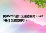 黃牌s203是什么道路編號（s203是什么道路編號）