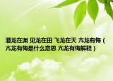 潛龍在淵 見龍在田 飛龍在天 亢龍有悔（亢龍有悔是什么意思 亢龍有悔解釋）