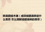 騎連駟結(jié)木端（成語結(jié)駟連騎是什么意思 怎么理解結(jié)駟連騎的意思）