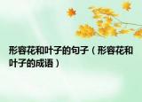 形容花和葉子的句子（形容花和葉子的成語）