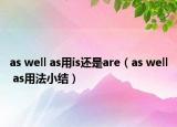 as well as用is還是are（as well as用法小結(jié)）