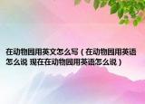 在動(dòng)物園用英文怎么寫（在動(dòng)物園用英語怎么說 現(xiàn)在在動(dòng)物園用英語怎么說）
