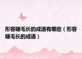 形容睫毛長(zhǎng)的成語(yǔ)有哪些（形容睫毛長(zhǎng)的成語(yǔ)）