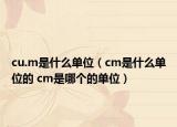 cu.m是什么單位（cm是什么單位的 cm是哪個的單位）