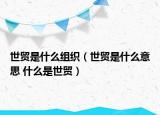 世貿(mào)是什么組織（世貿(mào)是什么意思 什么是世貿(mào)）