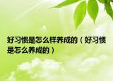 好習(xí)慣是怎么樣養(yǎng)成的（好習(xí)慣是怎么養(yǎng)成的）
