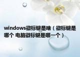 windows徽標(biāo)鍵是啥（徽標(biāo)鍵是哪個(gè) 電腦徽標(biāo)鍵是哪一個(gè)）