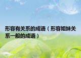形容有關(guān)系的成語（形容姐妹關(guān)系一般的成語）
