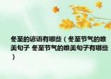 冬至的諺語(yǔ)有哪些（冬至節(jié)氣的唯美句子 冬至節(jié)氣的唯美句子有哪些）