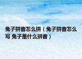 兔子拼音怎么拼（兔子拼音怎么寫 兔子是什么拼音）