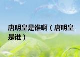 唐明皇是誰?。ㄌ泼骰适钦l）