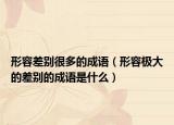 形容差別很多的成語(yǔ)（形容極大的差別的成語(yǔ)是什么）