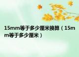 15mm等于多少厘米換算（15mm等于多少厘米）