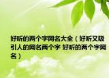 好聽的兩個(gè)字網(wǎng)名大全（好聽又吸引人的網(wǎng)名兩個(gè)字 好聽的兩個(gè)字網(wǎng)名）