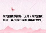 東莞掃黃以前是什么樣（東莞掃黃是哪一年 東莞掃黃是哪年開始的）