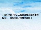 一騎紅塵妃子笑無(wú)人知是荔枝來(lái)是哪里的荔枝（一騎紅塵妃子笑什么意思）