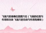 飛揚(yáng)穴的準(zhǔn)確位置圖穴位（飛揚(yáng)的位置與作用和功效 飛揚(yáng)穴的功效與作用有哪些）