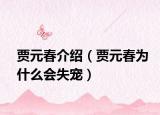 賈元春介紹（賈元春為什么會失寵）