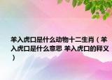 羊入虎口是什么動(dòng)物十二生肖（羊入虎口是什么意思 羊入虎口的釋義）