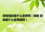 微商指的是什么意思?。ㄎ⑸?微商是什么意思解釋）