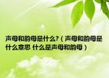 聲母和韻母是什么?（聲母和韻母是什么意思 什么是聲母和韻母）