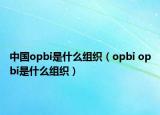 中國(guó)opbi是什么組織（opbi opbi是什么組織）