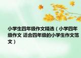 小學(xué)生四年級(jí)作文精選（小學(xué)四年級(jí)作文 適合四年級(jí)的小學(xué)生作文范文）